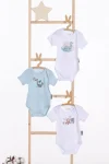 1_org_zoom (11)