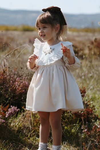 Baby Animals Girl Baby Girl Child Birthday Party Wedding Dress Lined Satin Kids Clothing Baby Clothing