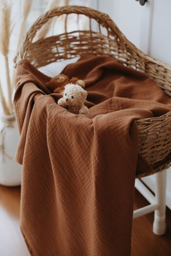 Chocolate 4 Cat Muesli Blanket