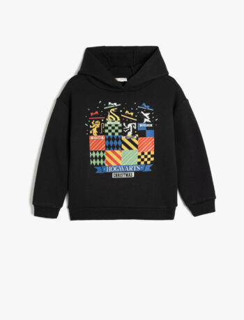 Boys' Harry Potter Printed Licensed Long Sleeve Hooded Sweatshirt