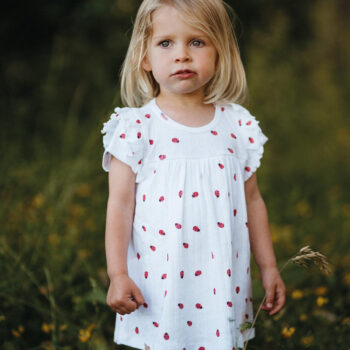 Ladybug Dress