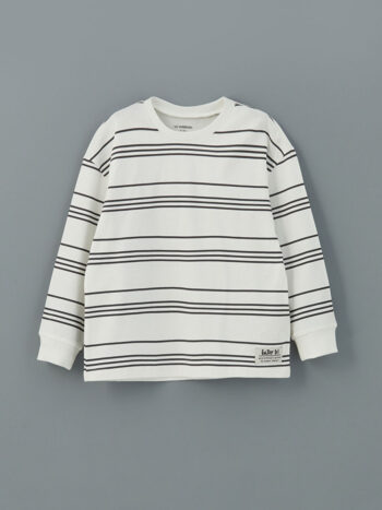 LCW Kids Antrasite Crew Neck Striped Boys' T-Shirt