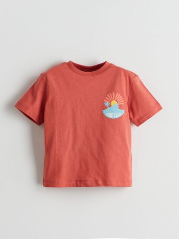 LCW Kids Brown Printed Crew Neck T-Shirt for Boys