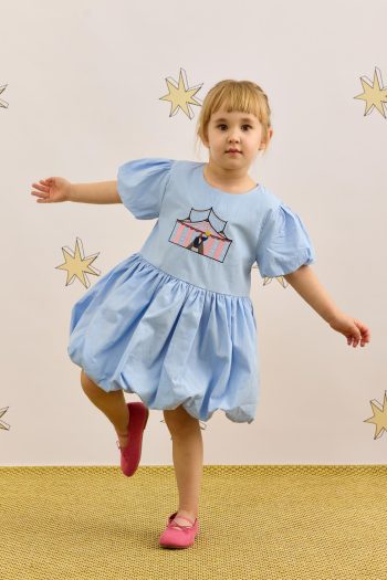 Embroidered Detail Balloon Dress Blue