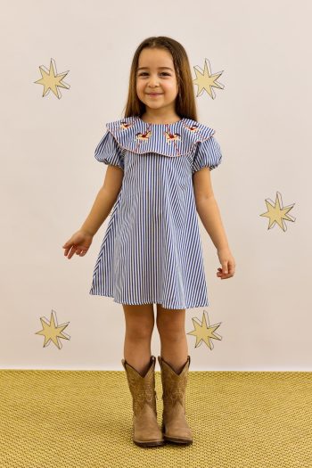 Embroidered Dress Striped Blue