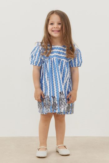 Detailed Ruffled Dress Blue Striped
