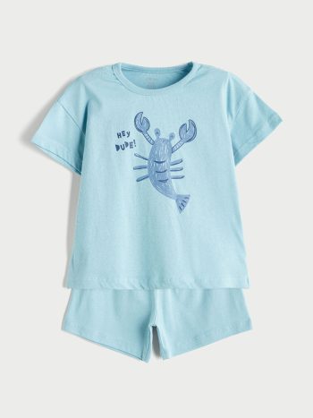 LCW Baby Blue Crew Neck T-Shirt and Shorts Set for Boys