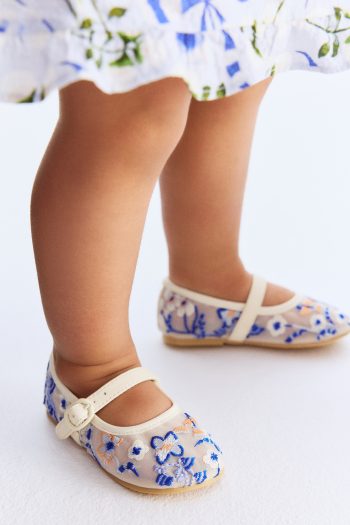 Embroidered Mesh Ballerinas