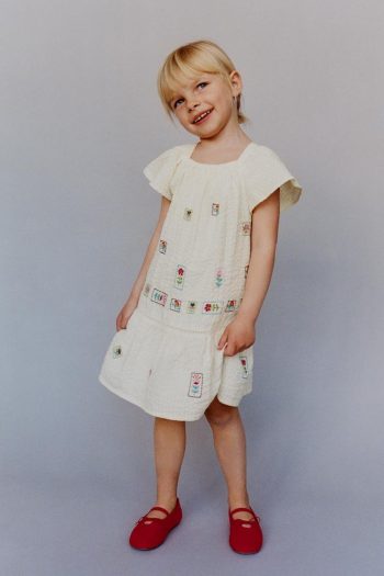 TEXTURED EMBROIDERED DRESS