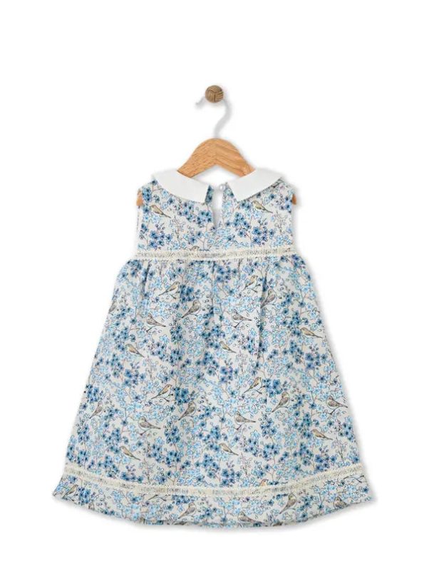 Bloomy Spring Pattern Embroidered Blue Dress