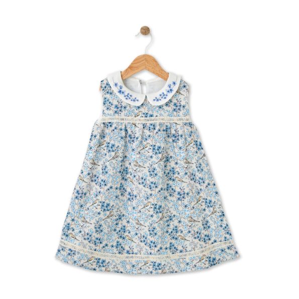 Bloomy Spring Pattern Embroidered Blue Dress
