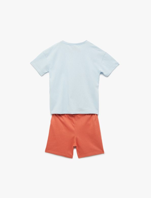 Boys' Cotton Graphic Lion Print T-Shirt and Shorts Set