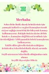 1_org_zoom-1148.jpg