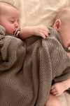 1_org_zoom-1163.jpg