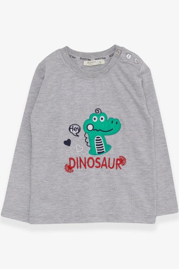 Breeze Boys Long Sleeve Dinosaur Embroidered T-Shirt Grey Melange 9 Months - 3 Years