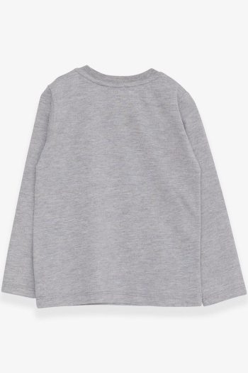 Breeze Boys Long Sleeve Dinosaur Embroidered T-Shirt Grey Melange 9 Months - 3 Years