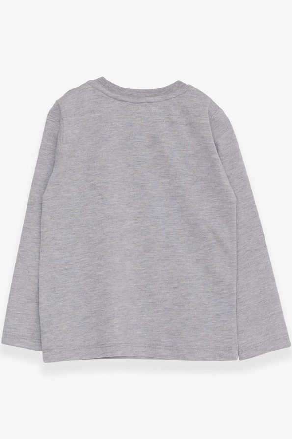 Breeze Boys Long Sleeve Dinosaur Embroidered T-Shirt Grey Melange 9 Months - 3 Years