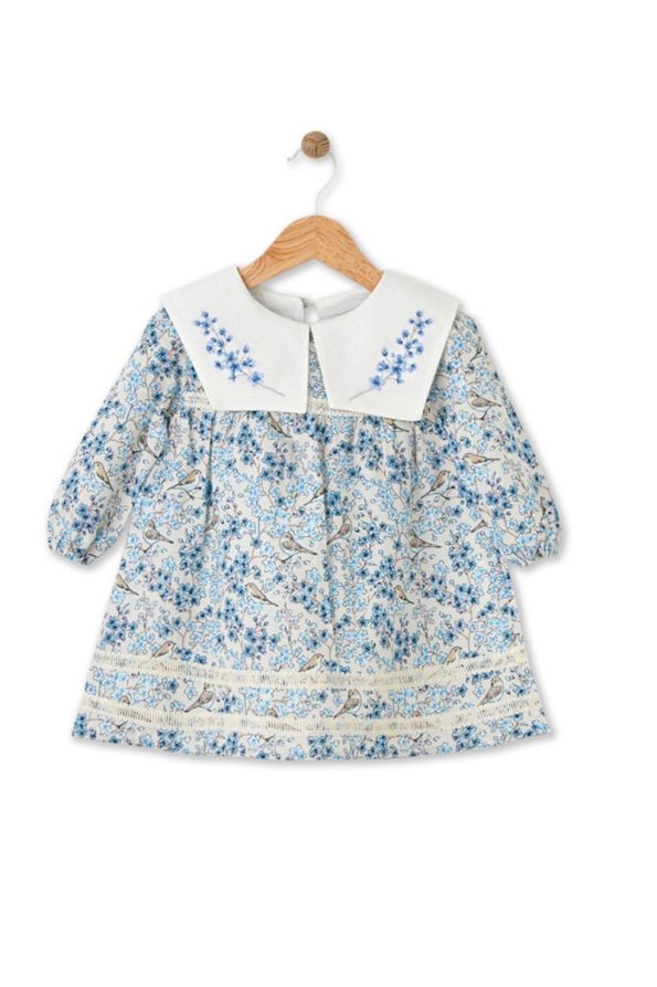 Maya And Luca Bloomy Spring Long Sleeve Embroidered Blue Dress