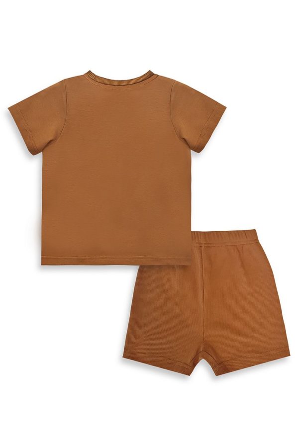 Denokids Dinosaur Boy Baby T-shirt and Ribbed Shorts Set