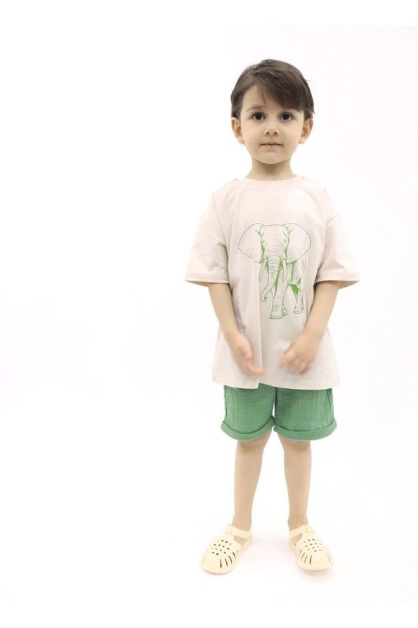 Pumpkin Elephant Stone Color T-Shirt Green Muslin Shorts Set