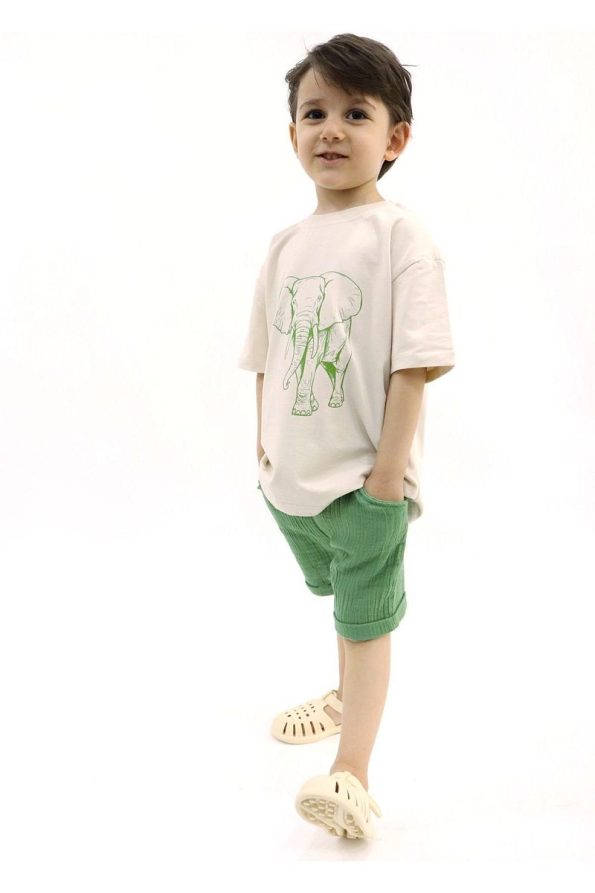 Pumpkin Elephant Stone Color T-Shirt Green Muslin Shorts Set