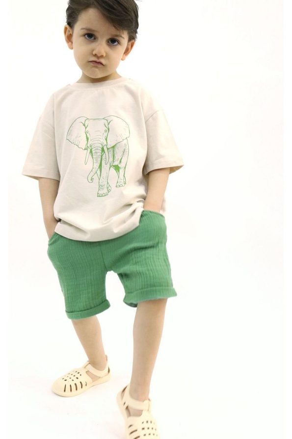 Pumpkin Elephant Stone Color T-Shirt Green Muslin Shorts Set