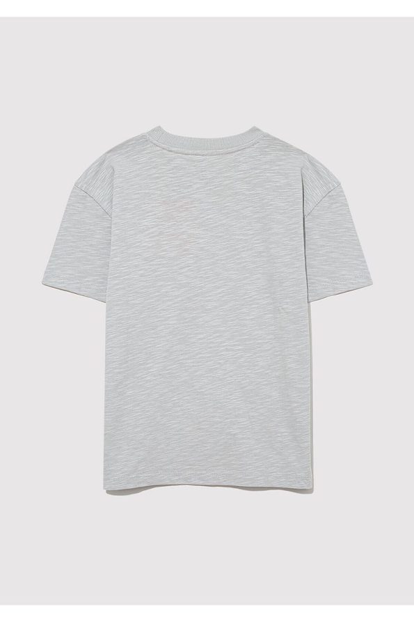 Blue Organic Cotton Gray Basic T-Shirt Loose Fit
