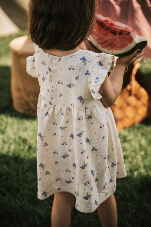 Cherry Kids Blueberry Print 100% Cotton Sleeved Dress for Girls