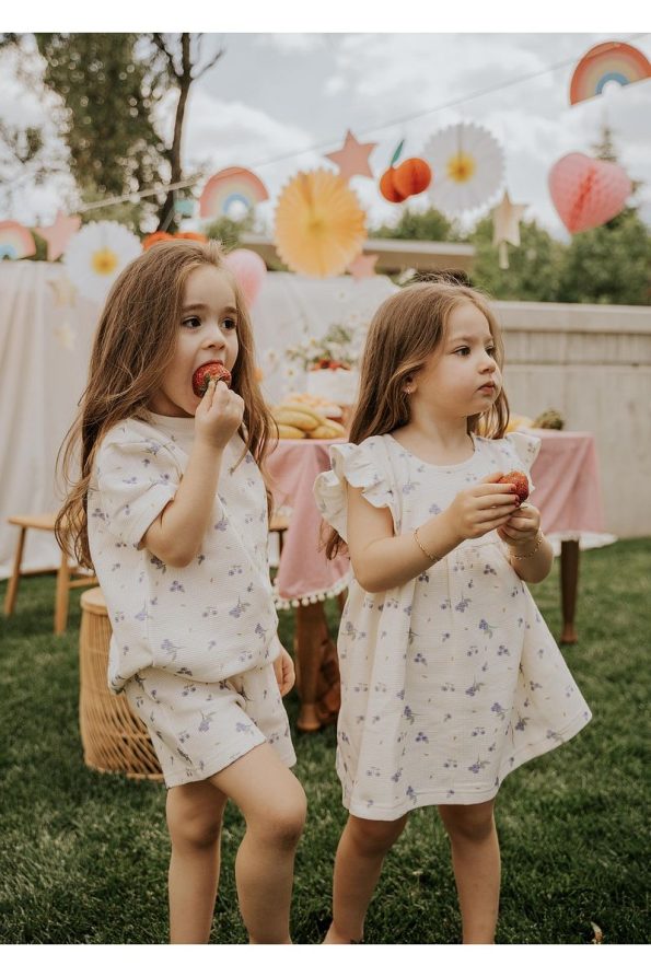 Cherry Kids Blueberry Print 100% Cotton Sleeved Dress for Girls