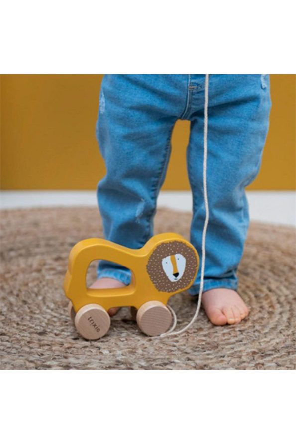 Trixie Mr Lion Wooden Pull Toy