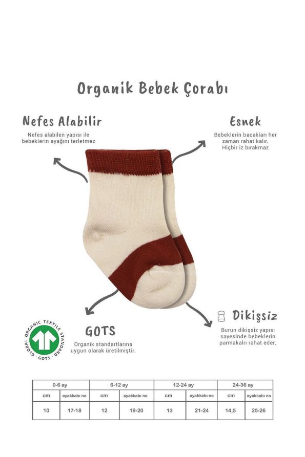Bistyle Organic Seamless 3-Pack Rainbow Cotton Baby Socks 0-3 Months
