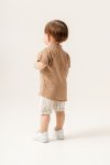 1_org_zoom-529.jpg