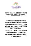 1_org_zoom-5524.jpg