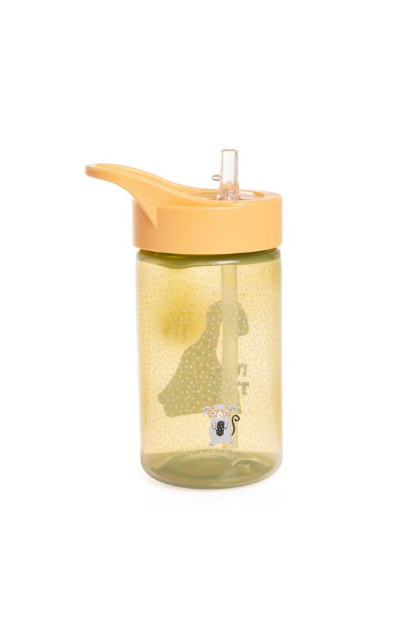 Dinosaur Patterned Kids Water Bottle with Straw