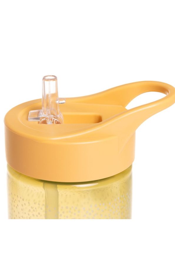 Dinosaur Patterned Kids Water Bottle with Straw