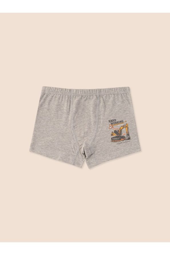 Natuline Boys' Organic Cotton Stretch Boxer Shorts Pack of 6