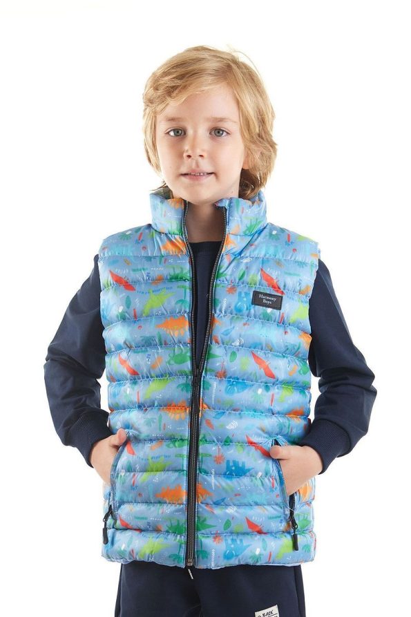 AHENGİM Kids Boys Dinosaur Print Trendy Puffer Vest