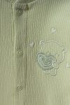 1_org_zoom-7138.jpg