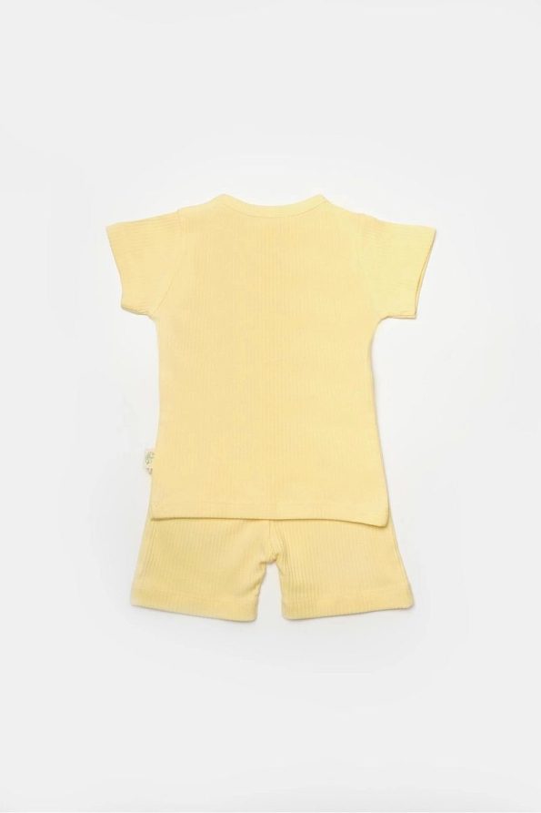 BabyCosy Organic Shorts & T-Shirt Set