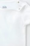 1_org_zoom-8136.jpg