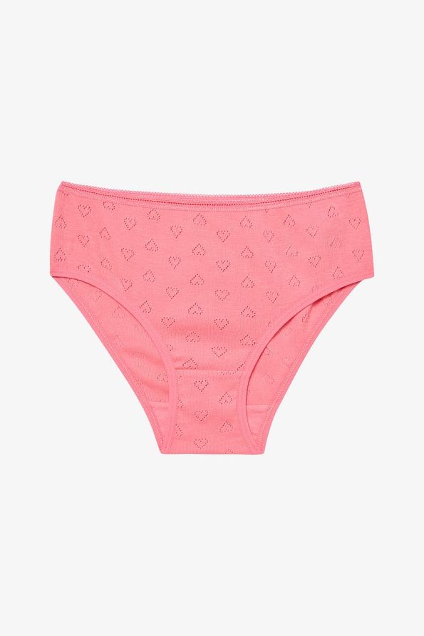 Penti Girls' Multicolored Slip Briefs Set