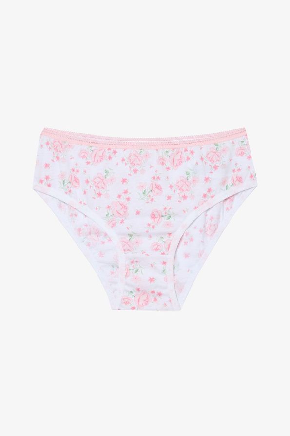 Penti Girls' Multicolored Slip Briefs Set