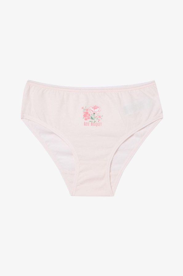 Penti Girls' Multicolored Slip Briefs Set