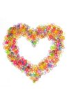 1_org_zoom-4960.jpg