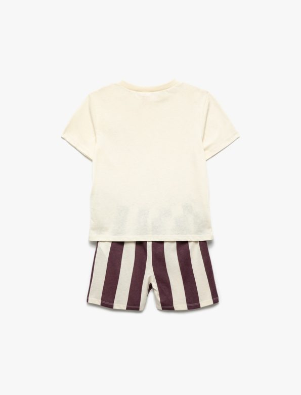 Boys' Printed Short Sleeve Cotton T-Shirt and Shorts Set