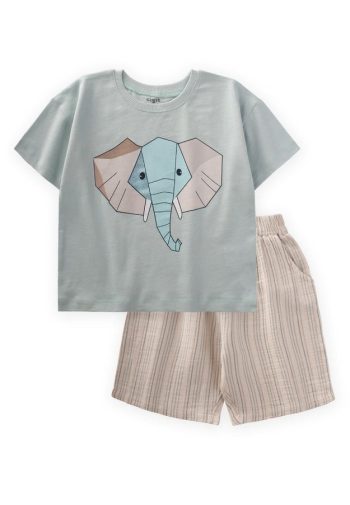 Abstract Elephant Print T-Shirt Set for Ages 2-8 Mint Green
