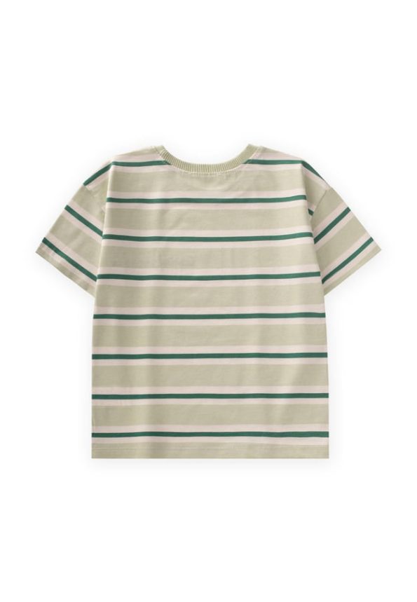 Wide Striped Embroidered T-Shirt for Ages 2-10 in Mint Khaki