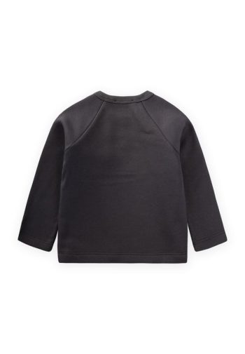 Embroidered Raglan Sleeve Sweatshirt for Ages 1-5 in Charcoal