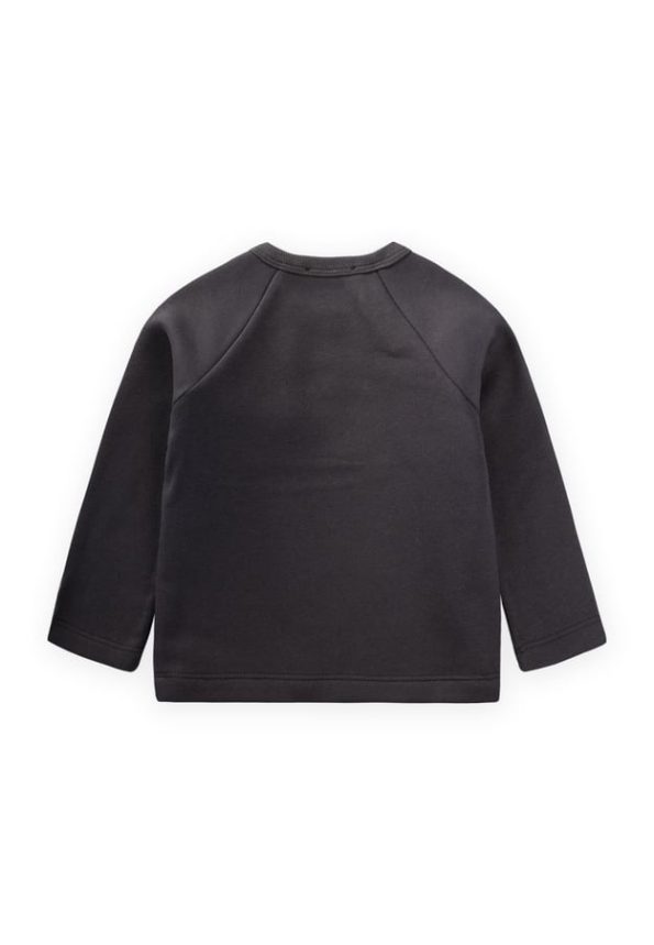 Embroidered Raglan Sleeve Sweatshirt for Ages 1-5 in Charcoal