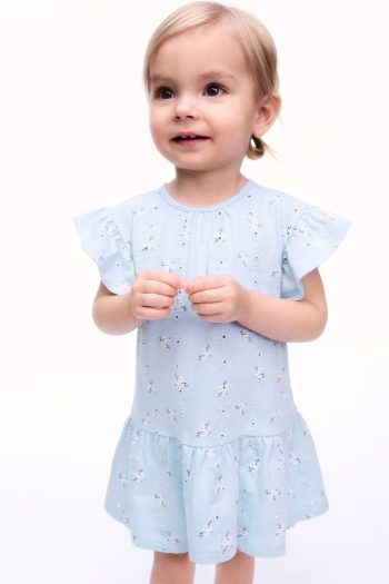 Embroidered Dress